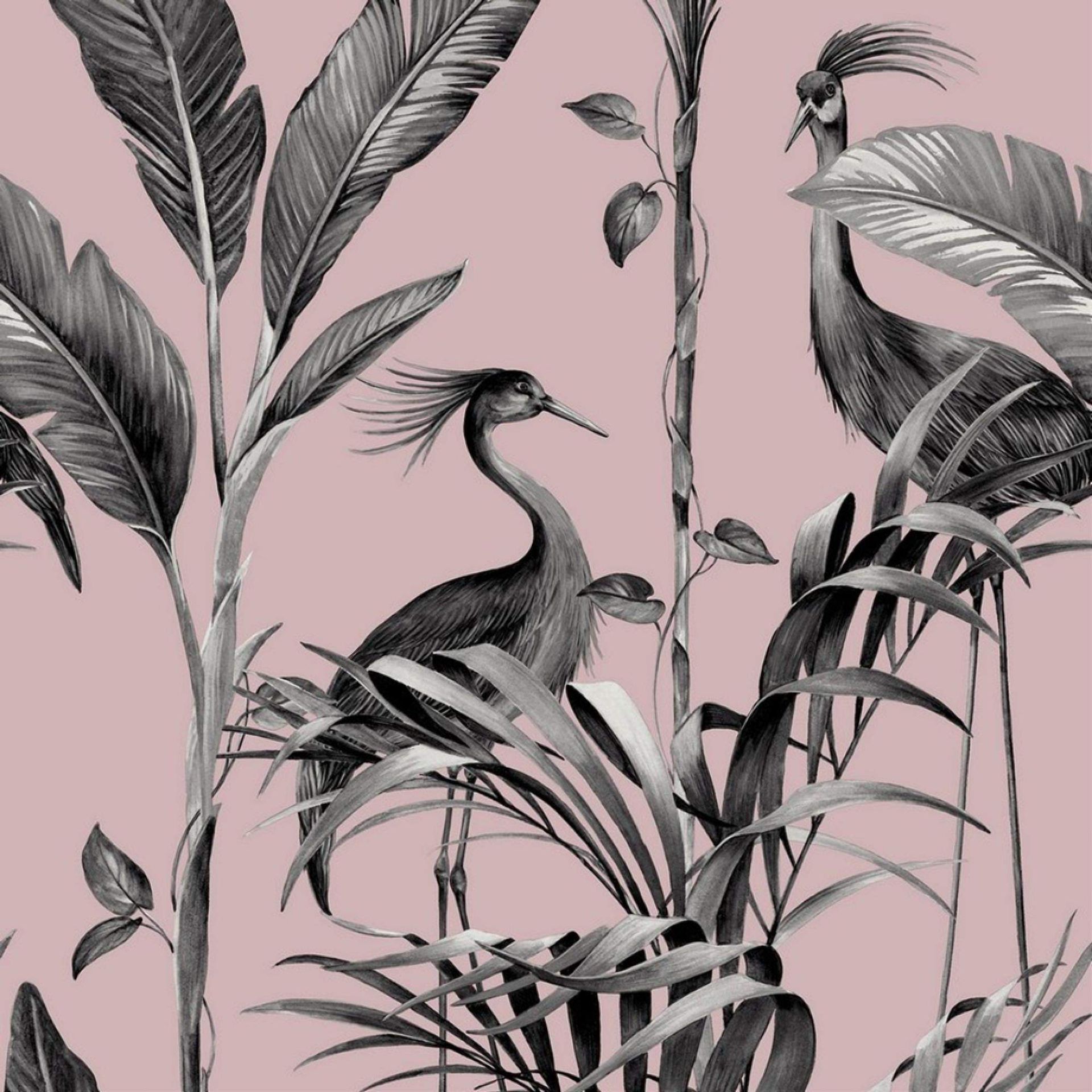 Azzurra Leaf Blush Pink Wallpaper 9507 Azzurra Leaf Blush Pink Wallpaper 9507