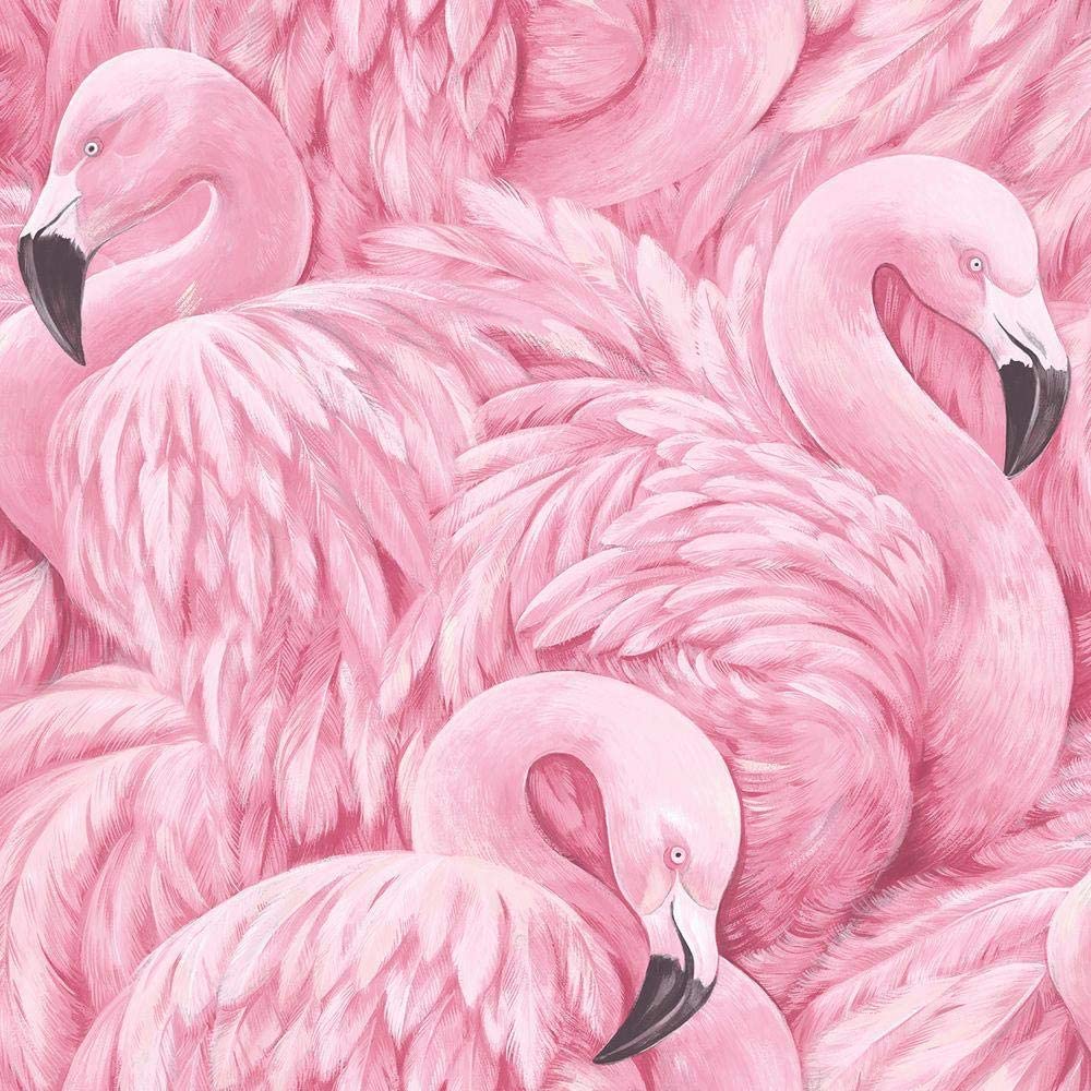 Portfolio Pink Flamingo Wallpaper 277890