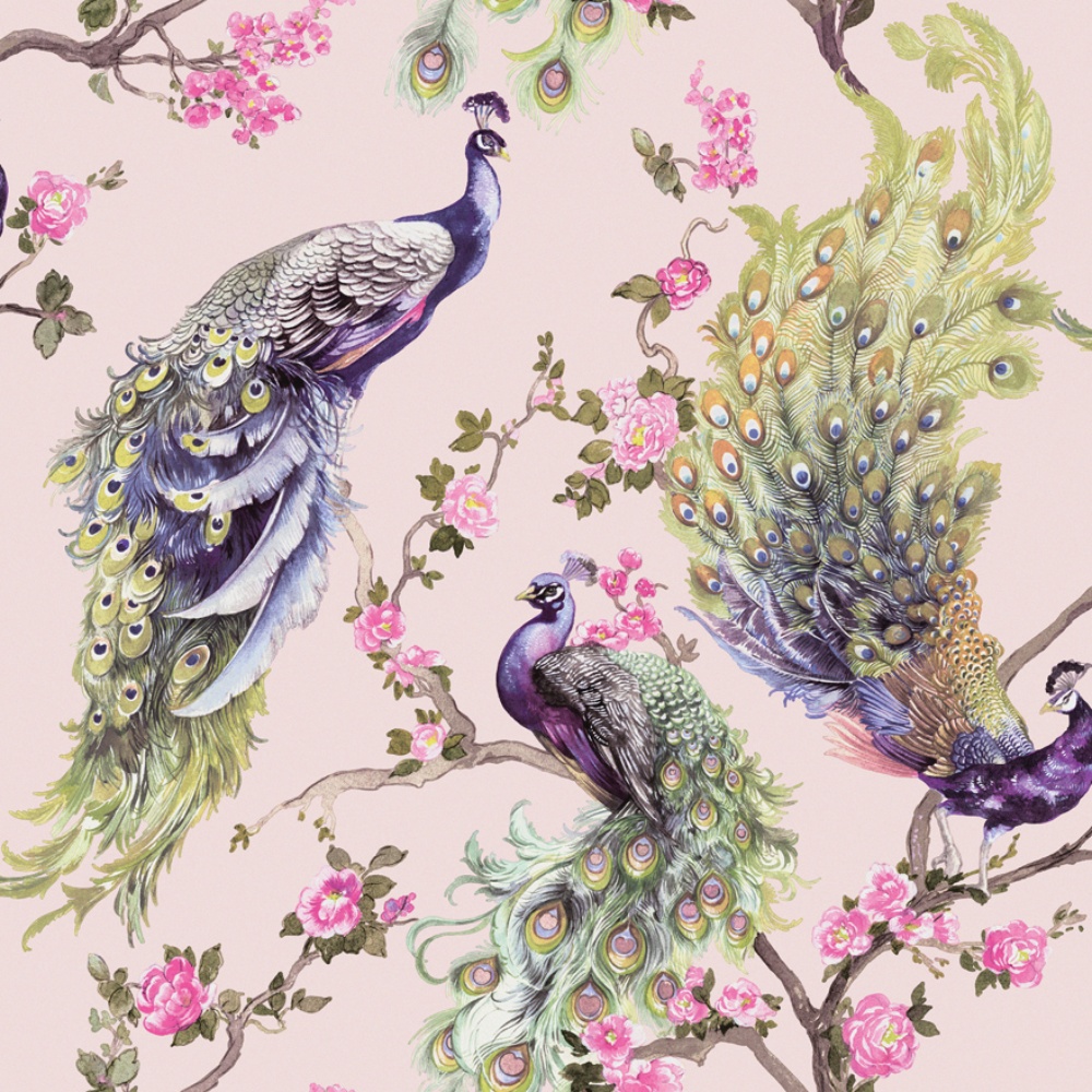 Menali Peacock Pink Wallpaper 35923